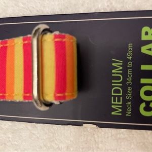Pink, yellow dog collar.